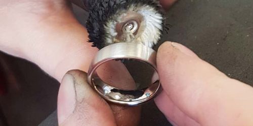 Mit einem Polierrädchen und unterschiedlichen Polierpasten wird der Ring bearbeitet um ihn zum Glänzen zu bringen.